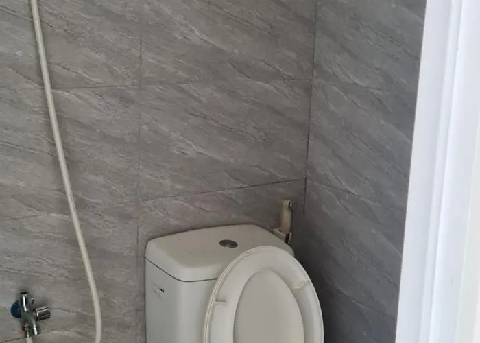 Vibi Hòn Rơm